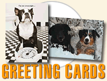 Greeting Cards